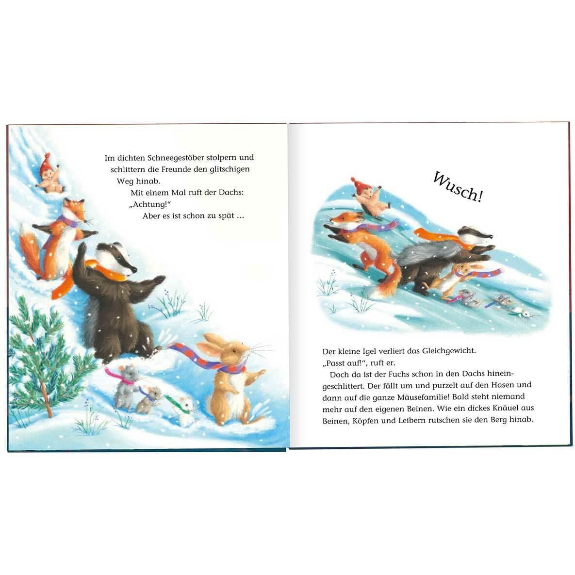Thumbnail - Der kleine Igel und die Schneelawine, Kinderbücher von M Christina Butler