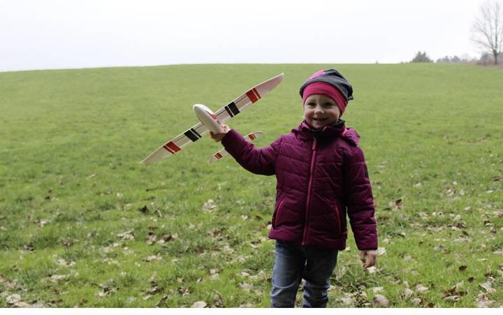 Produktbild Reely Zylinderstift (Ø x L) 12 mm x