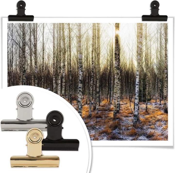 Image du produit Trenddeko Soleil dans la forêt de bouleaux (50 x 40 cm)