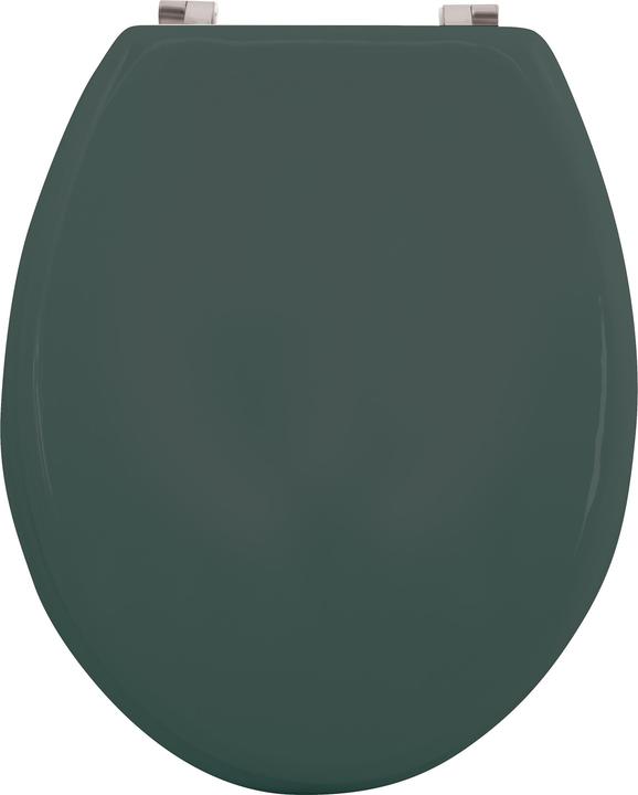 Vert foncé