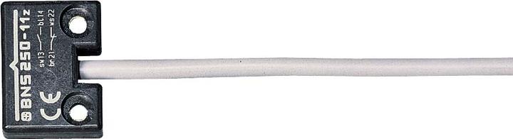 Actual product image Schmersal Sensor BNS 250-11ZG (0.01 m)