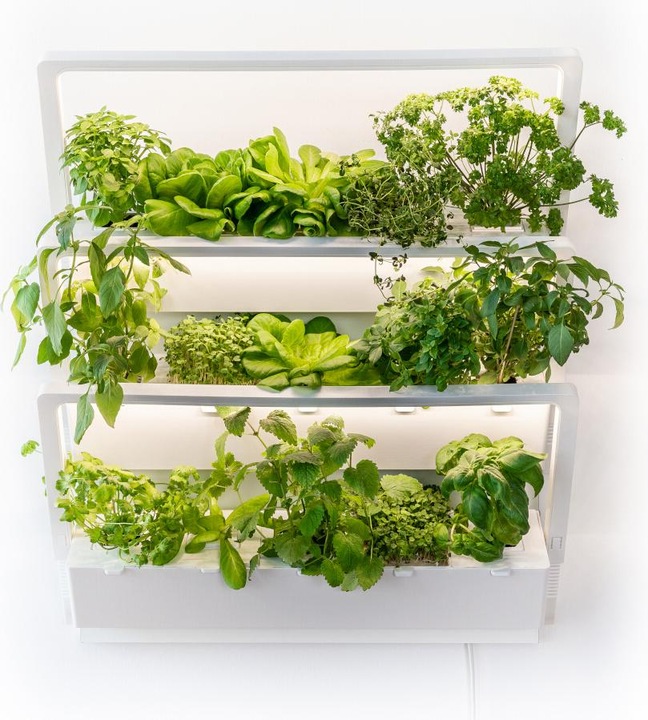Produktbild Urbanhive Homefarm Premiumset