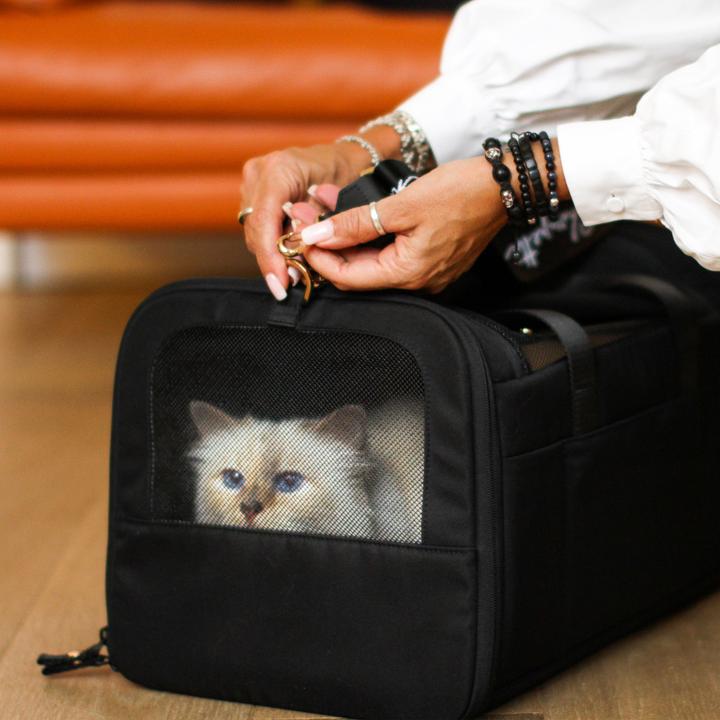 Produktbild LucyBalu CHECK-IN Katzentransporttasche | Choupette Edition (Katze, Waschbar)