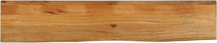 Image du produit vidaXL Tischplatte (160 x 40 cm)