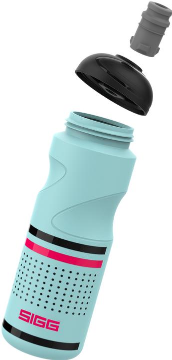 Actual product image Sigg Pulsar (0.75 l)