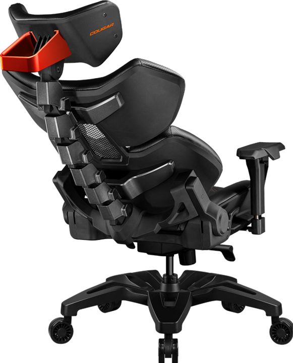 Image du produit Cougar Terminator