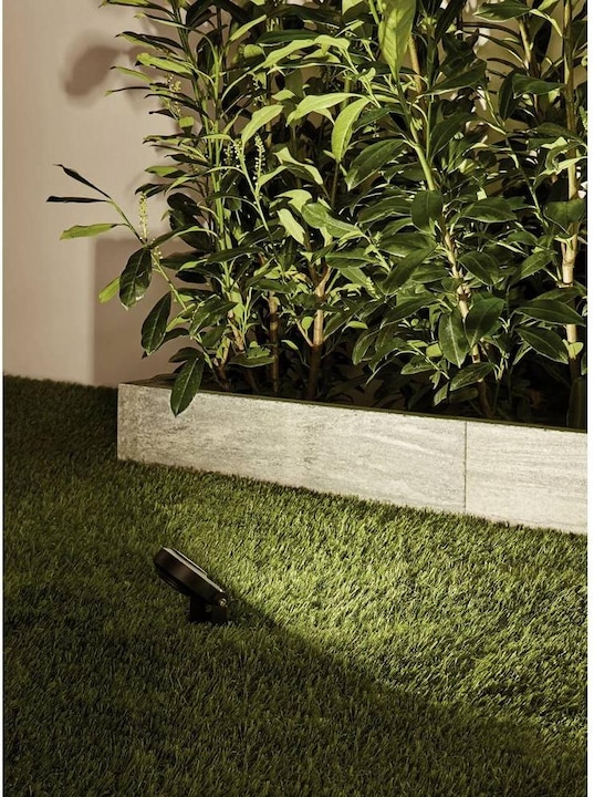 Productafbeelding Paulmann Plug & Shine Sting (655 lm, IP67)