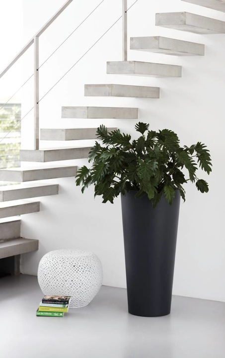 Actual product image Elho Pure Straight Round High (49.50 cm)