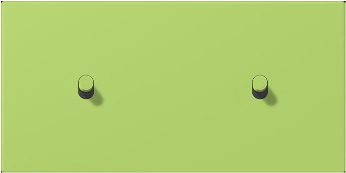 Actual product image JUNG Cover with toggle lever