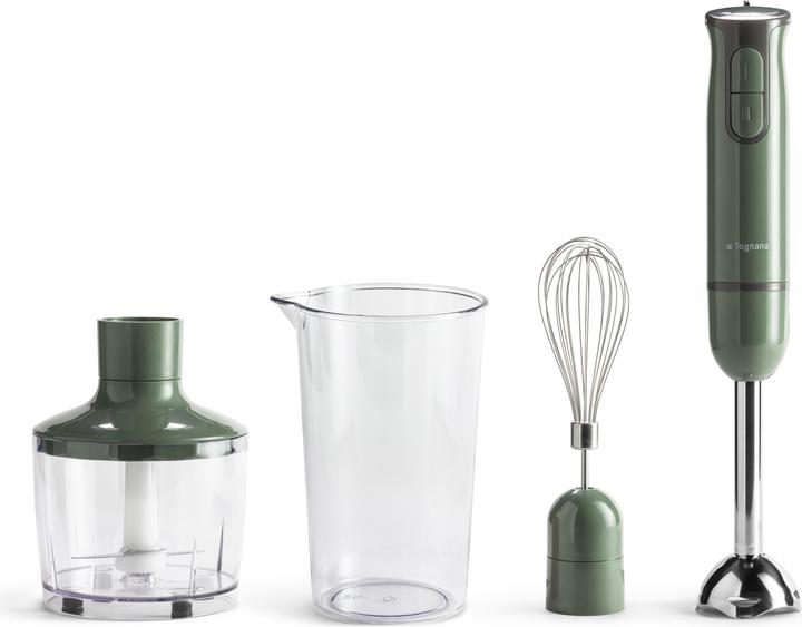 Produktbild Tognana Iridea Stabmixer mit Schneebesen