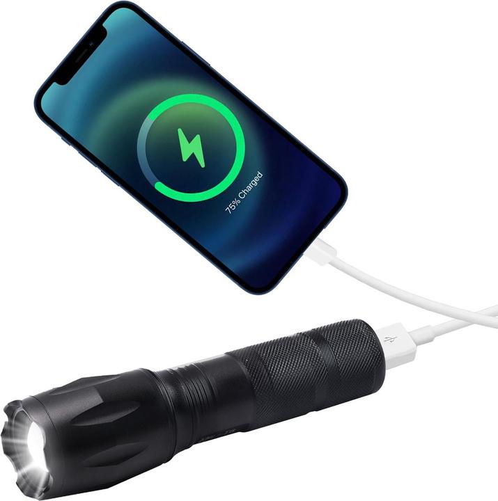 Actual product image Casativo LED torch with power bank (13.30 cm, 260 lm)