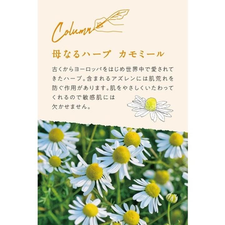 Actual product image Argital Chamomile ointment (50 ml)
