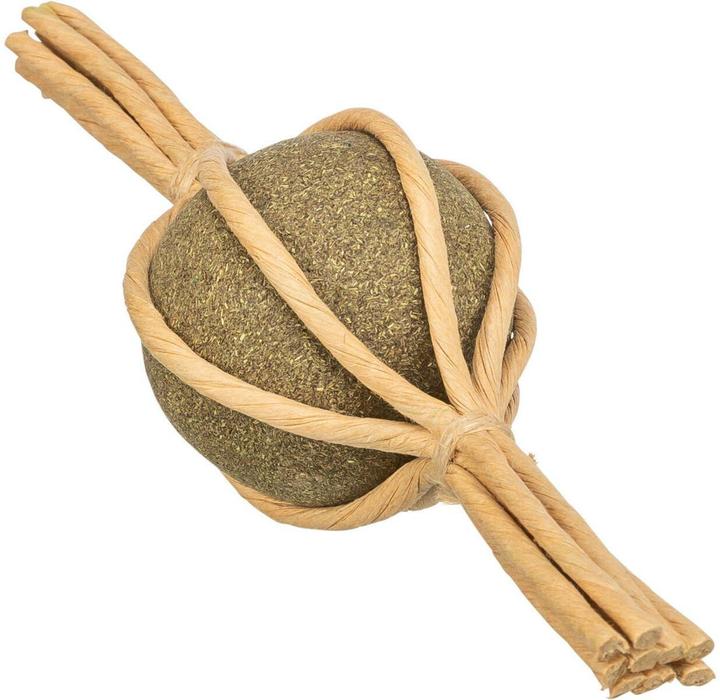 Immagine prodotto Trixie 42446 (Catmint giocattolo)