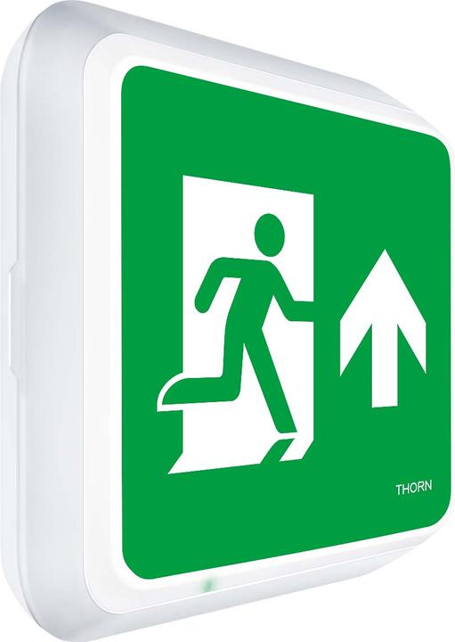 Actual product image Thorn Escape sign luminaire 96635039