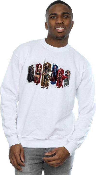 Actual product image Mens Justice League Movie Team Hexagons Sweatshirt (M)