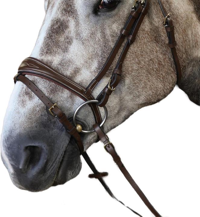 Image du produit - Rênes pour chevaux