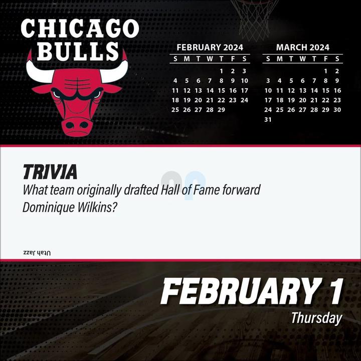 Produktbild NBA - Chicago Bulls - Tages-Abreisskalender in einer Box 2024 (Englisch, Deutsch, Französisch, Italienisch, Spanisch)