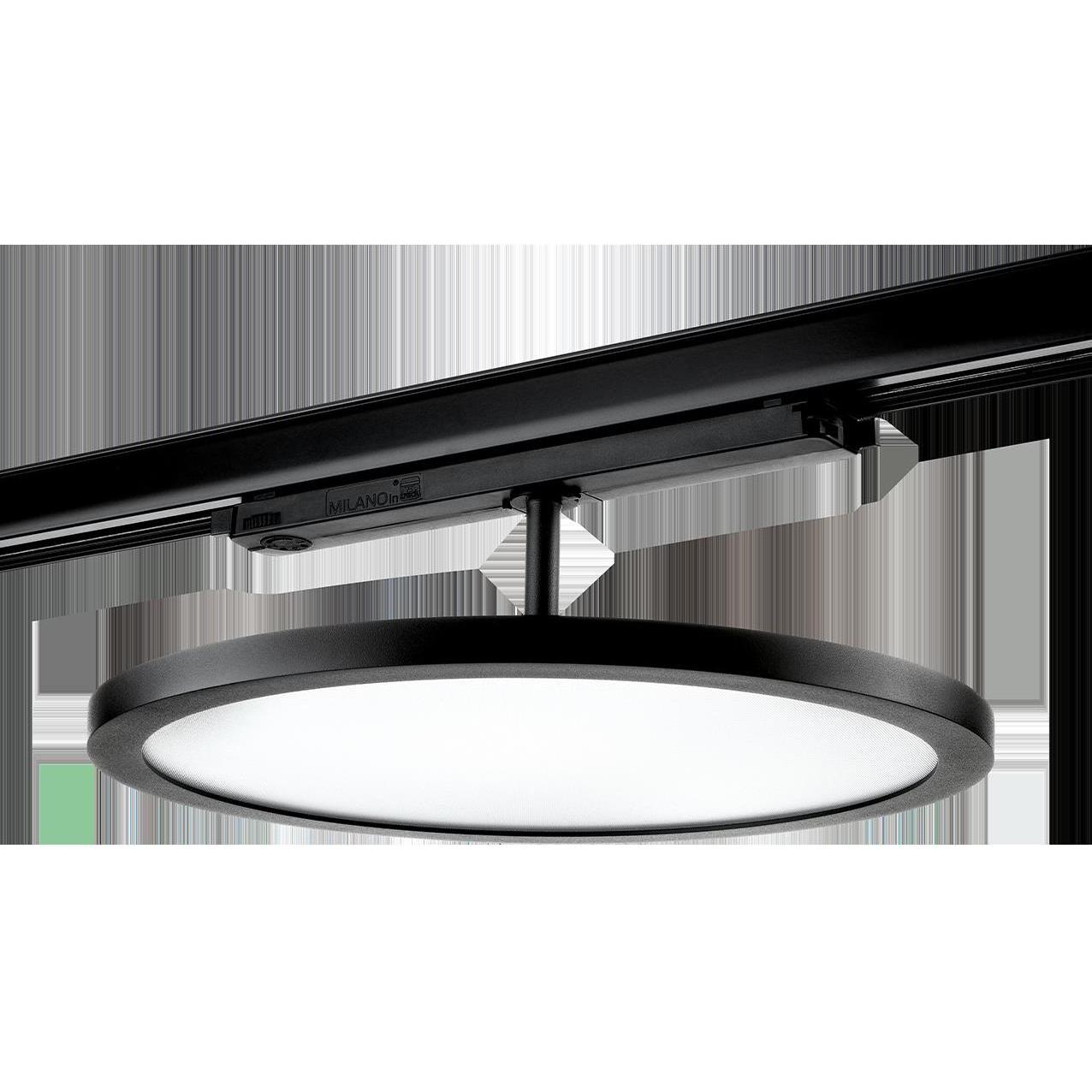 Sg, Wandleuchte + Deckenleuchte, LED-Stromschienenstrahler LB22