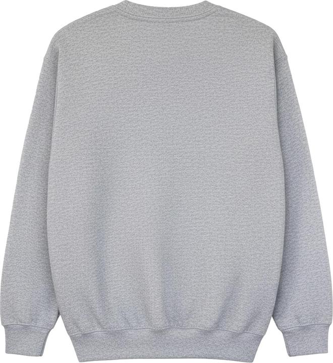 Produktbild Disney Pumpkin Spice Sweatshirt Mädchen (152, 158)