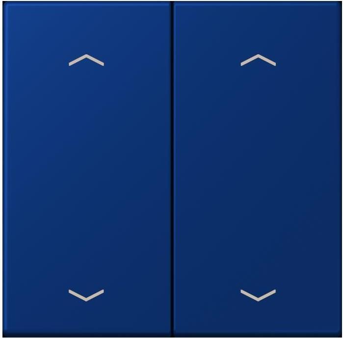 Actual product image JUNG Rocker