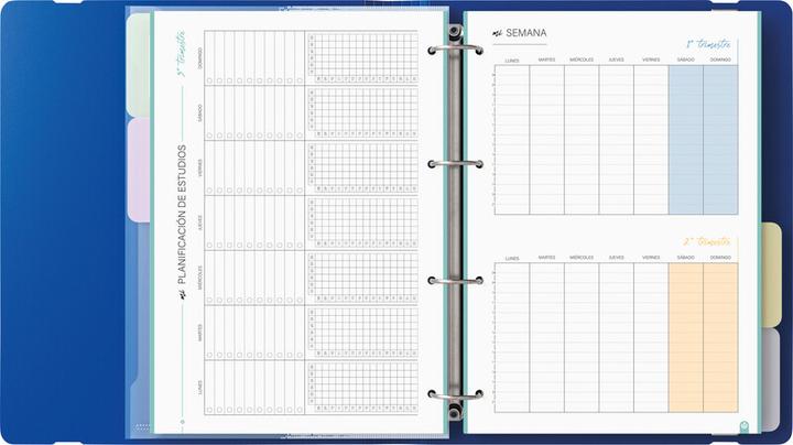 Produktbild Carchivo Ringbuch mit Inhalt Carpeblock 360 (A4, 40 mm)
