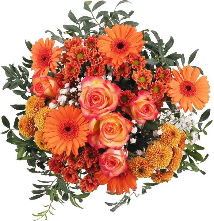 Immagine prodotto Migros Ostschweiz Grappolo grande (Fiori recisi)