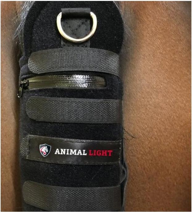 Produktbild Animal Light LED Schweifbeleuchtung Long 20