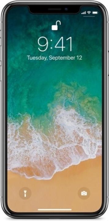 Image du produit Screenguard 100% Film de protection d'écran Apple iPhone XS Max Crystal Clear (1 pcs, Apple iPhone XS Max)