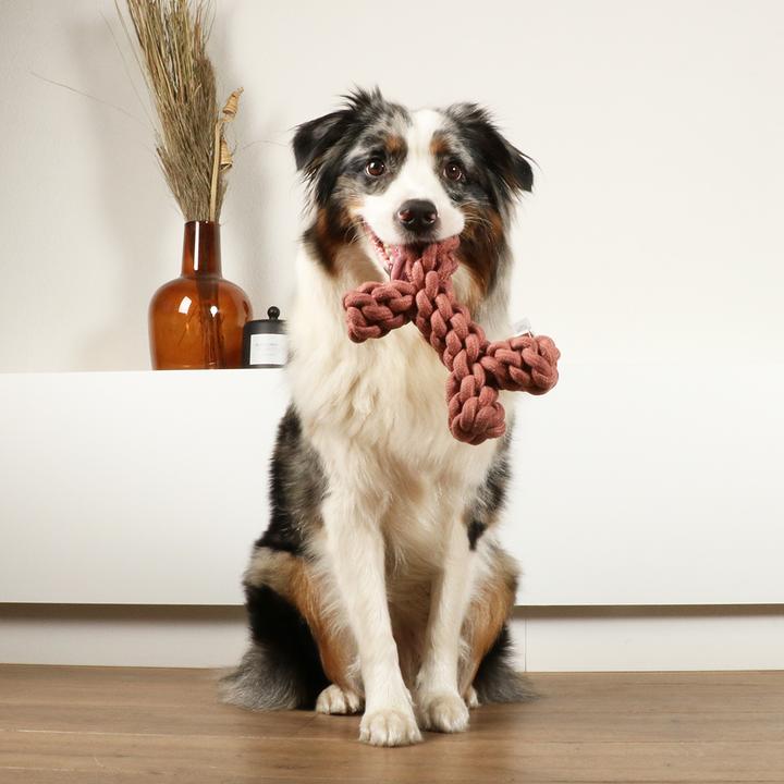 Immagine prodotto D&D Dente