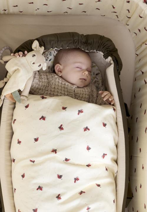 Image du produit Filibabba Linge de lit junior GOTS (100x140 cm) - Lucky