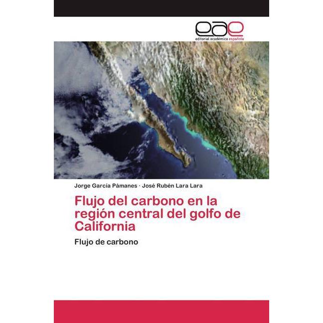 Flujo del carbono en la región central del golfo de California, Fachbücher von Jorge García Pámanes, José Rubén Lara Lar...