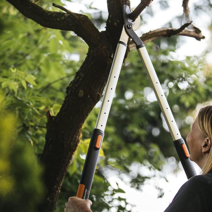 Immagine prodotto Fiskars Cesoie telescopiche