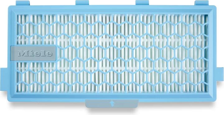 Miele SF-AP50-1 AirClean Filter Plus