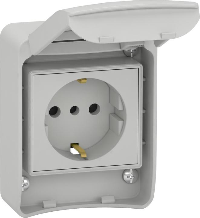 Schneider Electric Socket outlets, grey, 2p+E, 10/16A, 250 81141