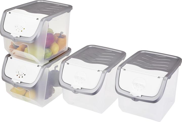 Produktbild HomeZone Box mit Klappdeckel (24 cm, 12 l)