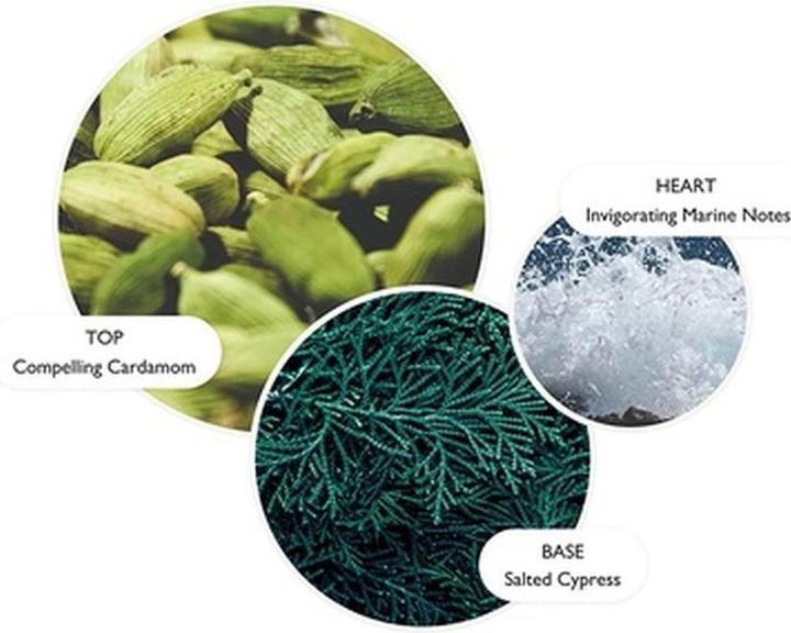 Produktbild Molton Brown Coastal Cypress & Sea Fennel (300 ml)