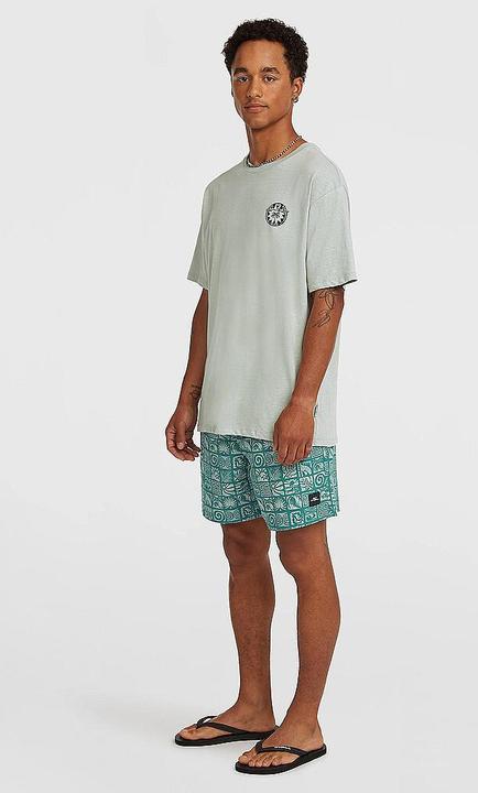Produktbild O'Neill Beachshorts Print (M)