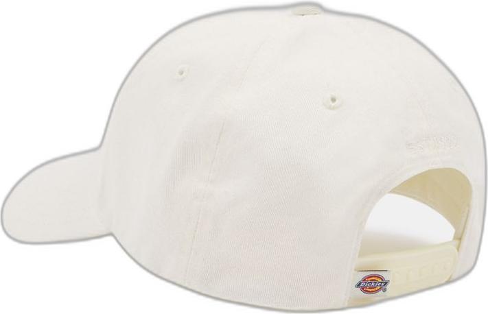 Image du produit Dickies Hardwick Cloud