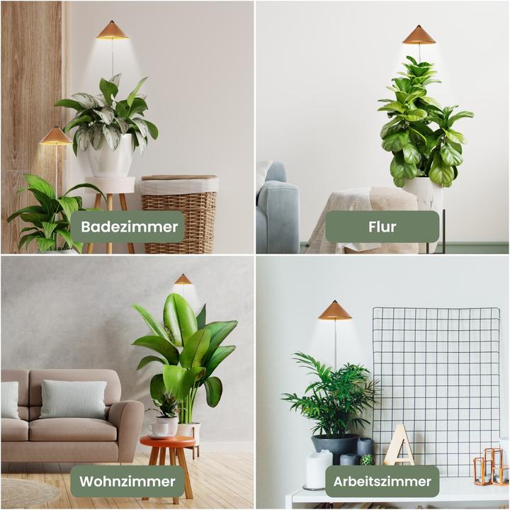 Actual product image Colibri Sunlite (LED, 230 V)