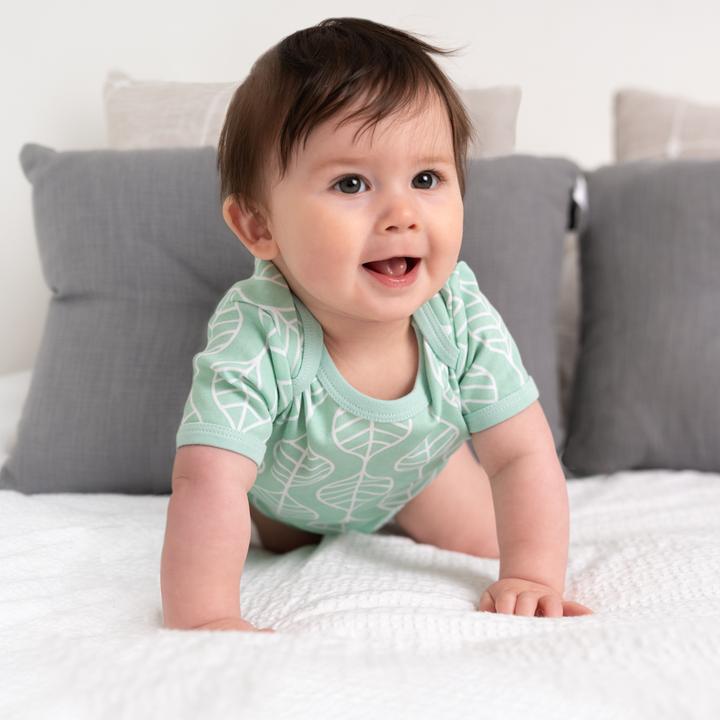 Immagine prodotto Schlummersack Body neonato maniche corte in cotone organico - pacco da 5 (74)