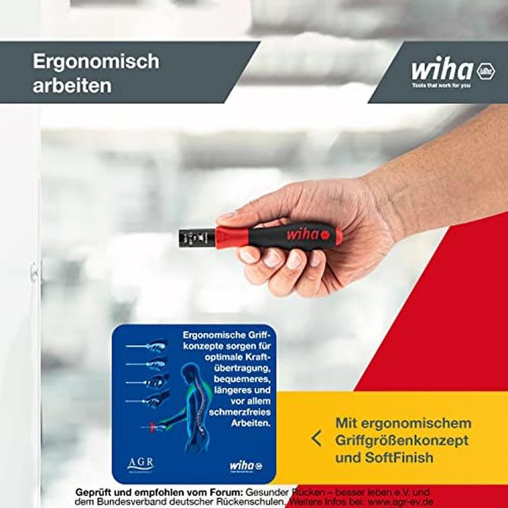Actual product image Wiha Workshop Torque Screws (Allen screw)