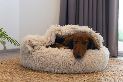 Image du produit Beeztees Hundebett Yala (Chien)