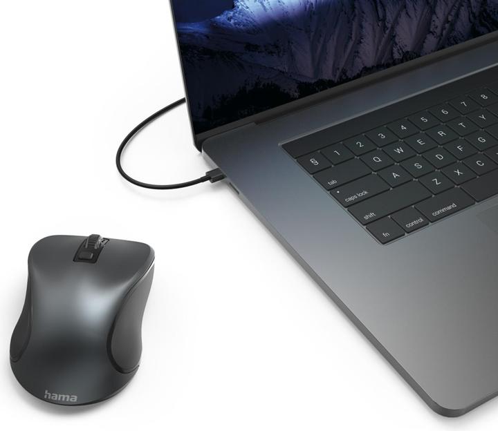 Actual product image Hama Canosa V2 (Wireless)