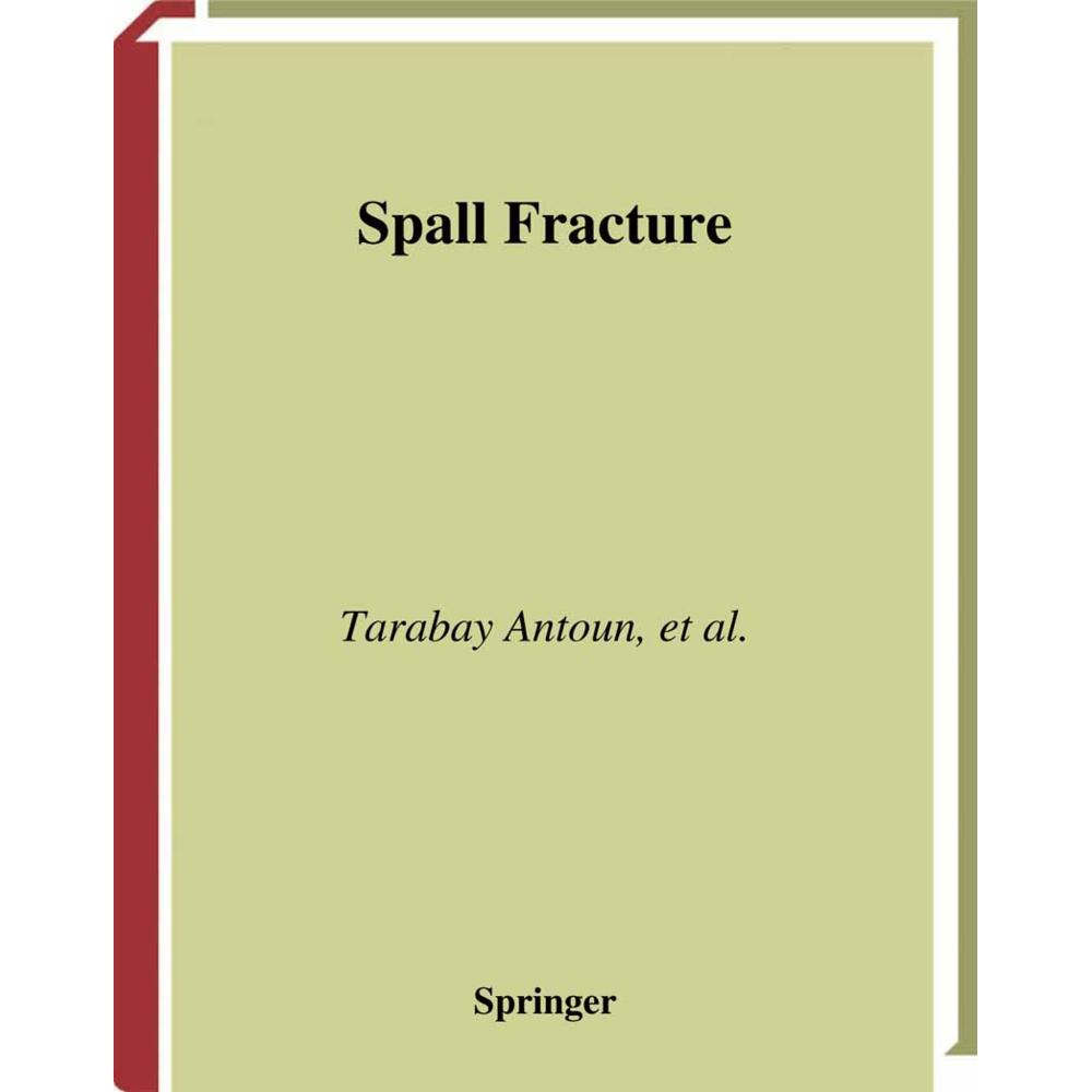 Spall Fracture, Fachbücher von Gennady I. Kanel, Sergey V. Razorenov, Alexander V. Utkin, Tarabay Antoun, Donald R Curra...