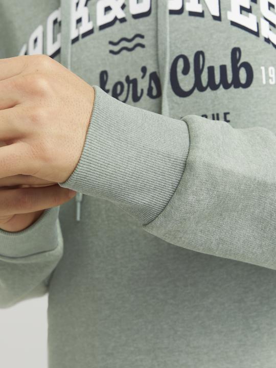 Immagine prodotto Jack & Jones JJELOGO SWEAT HOOD 2 COL 24/25 NOOS (XXL)