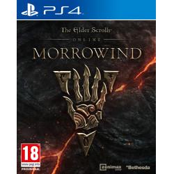 Image du produit Bethesda The Elder Scrolls Online : Morrowind (édition Day 1) (PS4, DE)