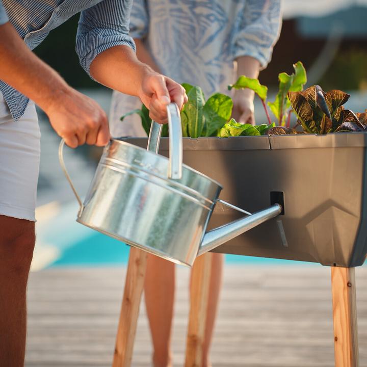 Immagine prodotto Gusta Garden Insalata Sammy