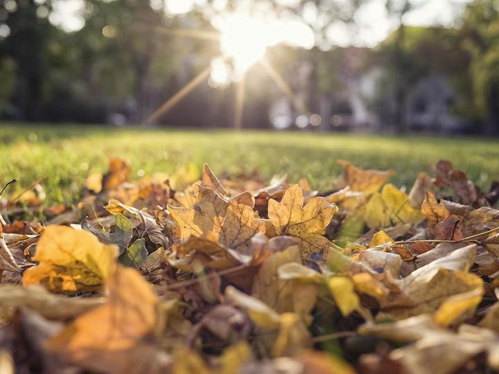 Actual product image Gardena leaf and lawn collectors