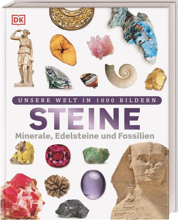 Produktbild Steine (Deutsch, Dan Green, 2017)