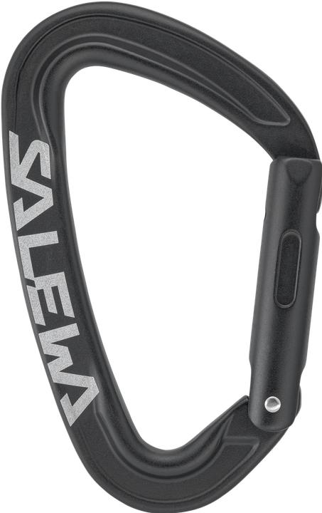 Actual product image Salewa Ortles Straight Carabiner
